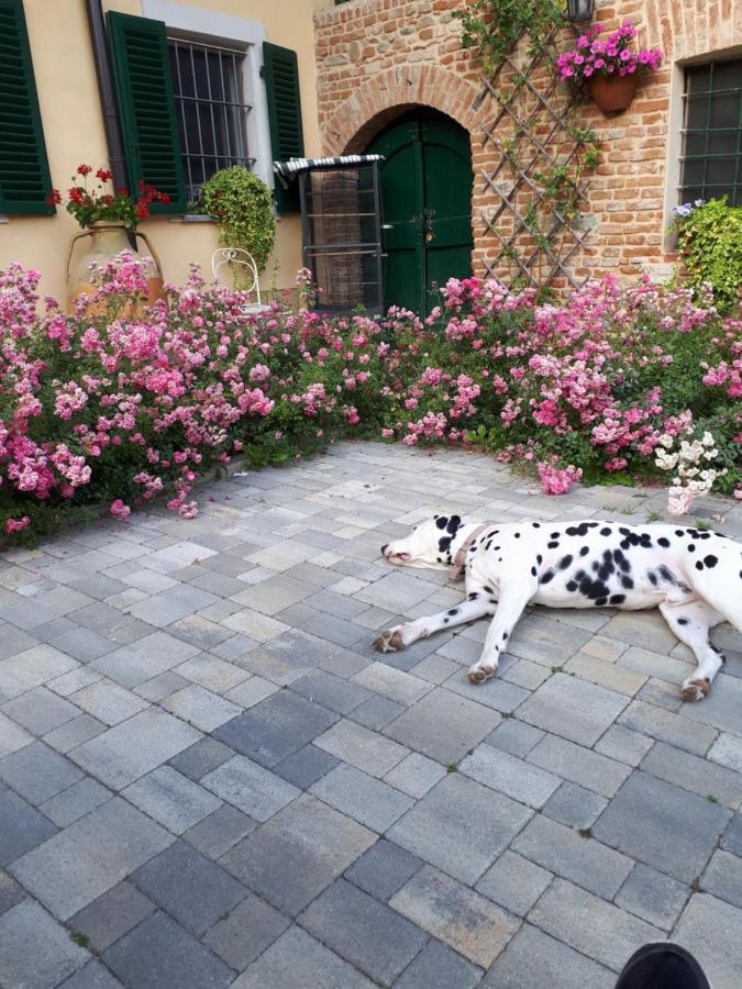 Casa Relax Immersa Nel Verde Della Natura Casalborgone Kültér fotó