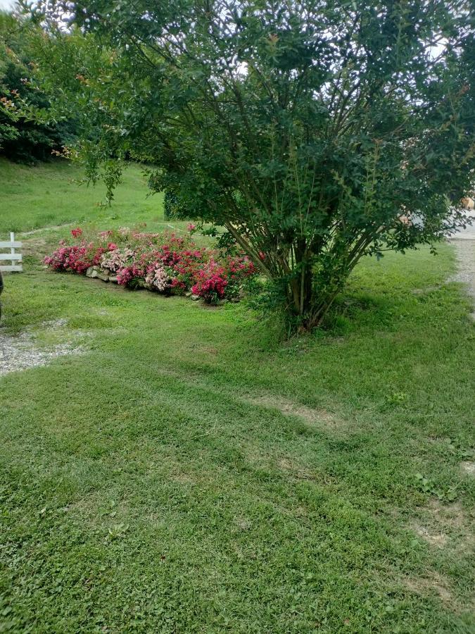 Casa Relax Immersa Nel Verde Della Natura Casalborgone Kültér fotó