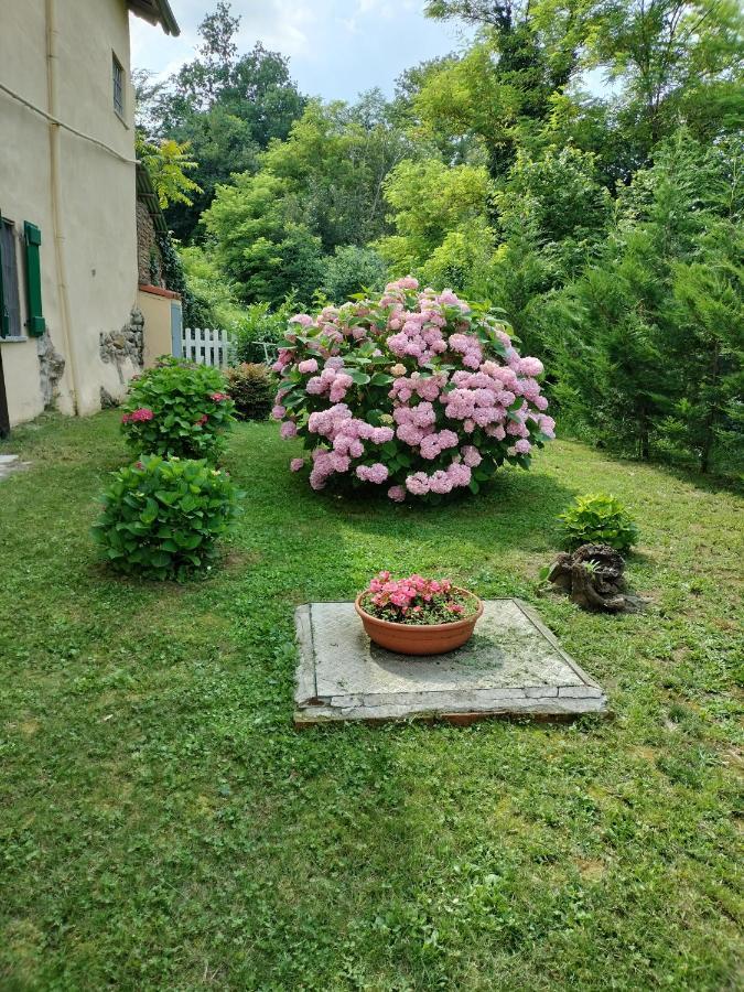 Casa Relax Immersa Nel Verde Della Natura Casalborgone Kültér fotó