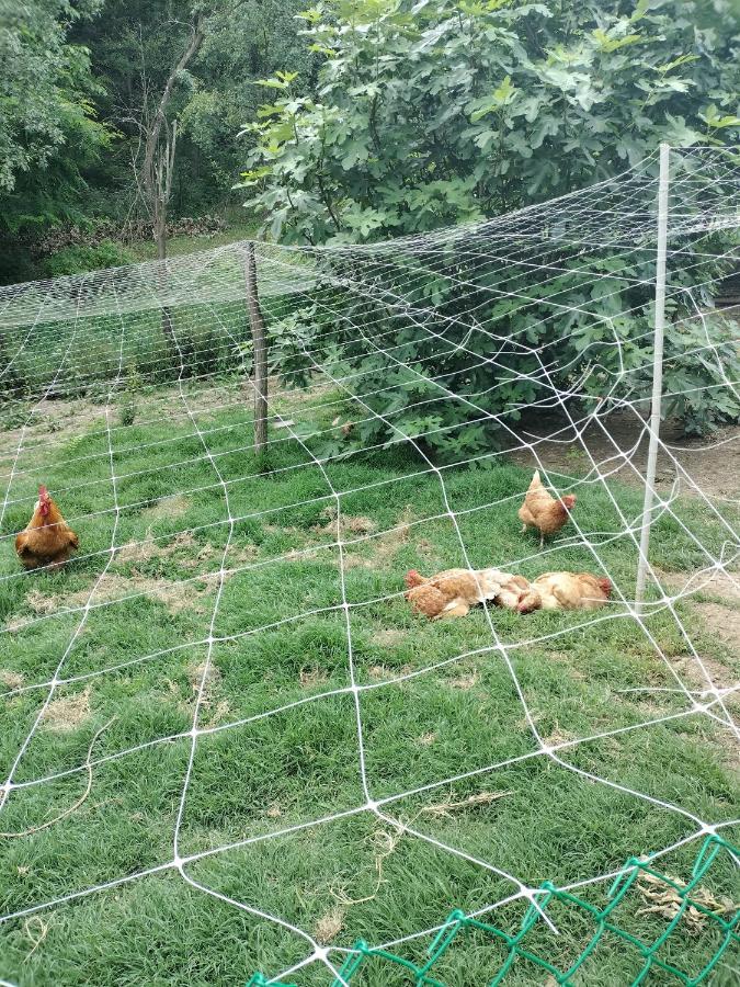 Casa Relax Immersa Nel Verde Della Natura Casalborgone Kültér fotó