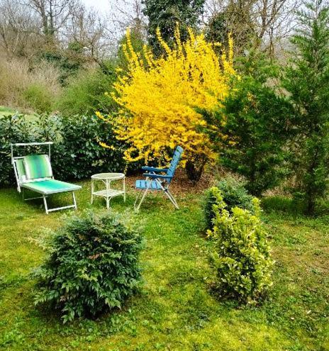 Casa Relax Immersa Nel Verde Della Natura Casalborgone Kültér fotó